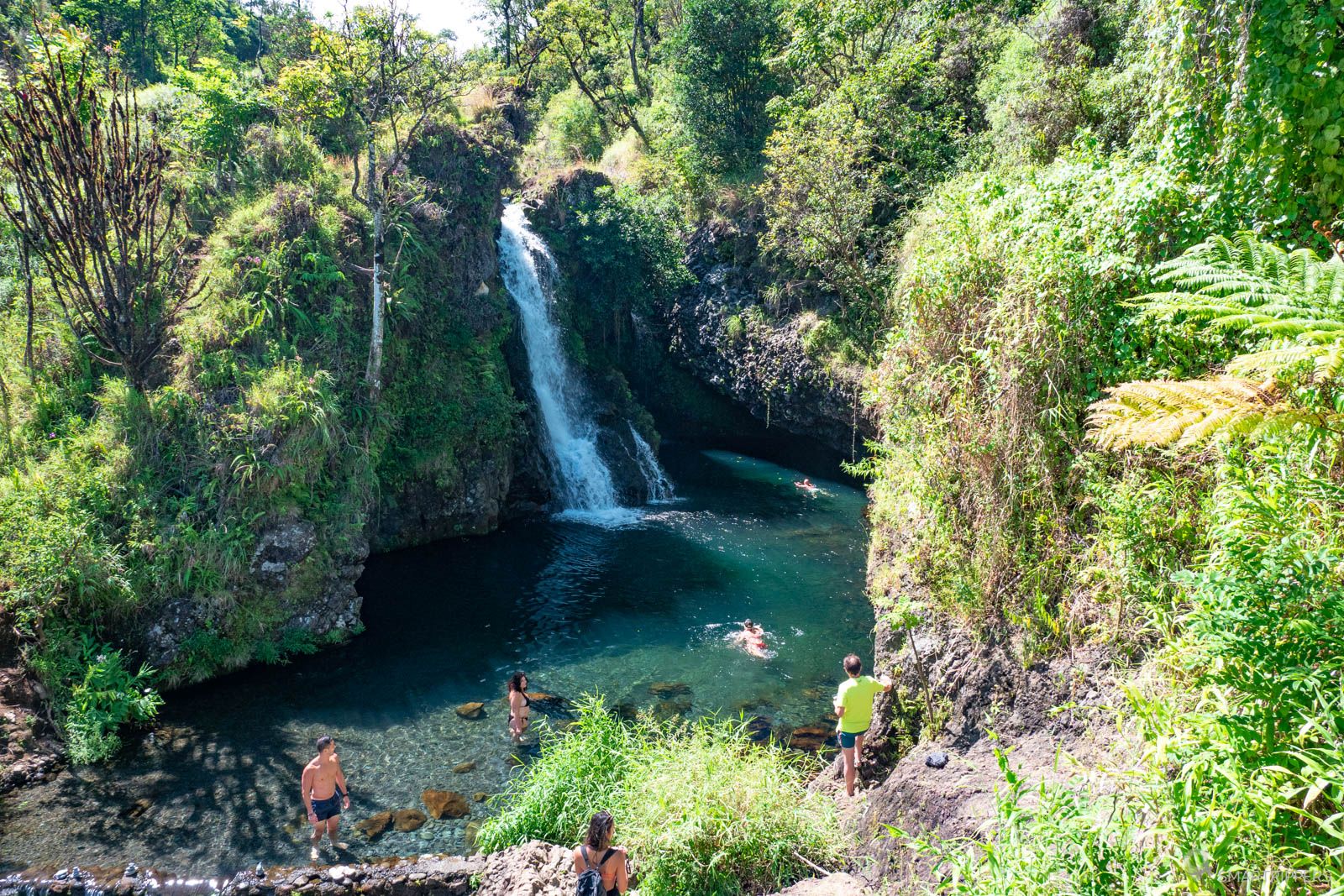 Hāna Highway: our complete guide to prepare your road trip - Smartrippers