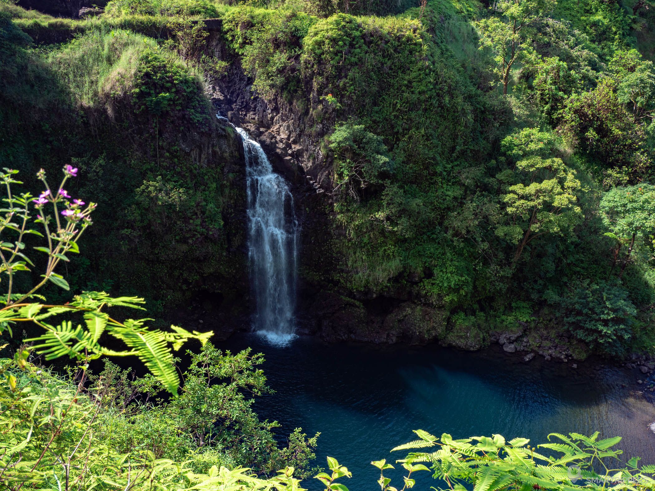 Hāna Highway: our complete guide to prepare your road trip - Smartrippers