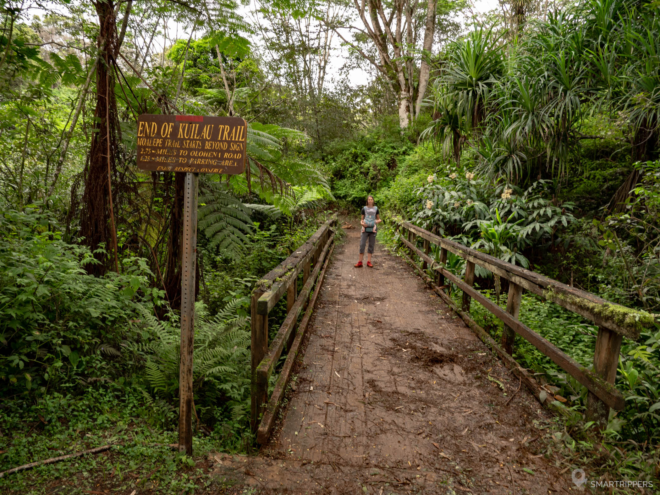 Kuilau Trail Head Picnic Spot: Natural Serenity In The Heart Of Oahu