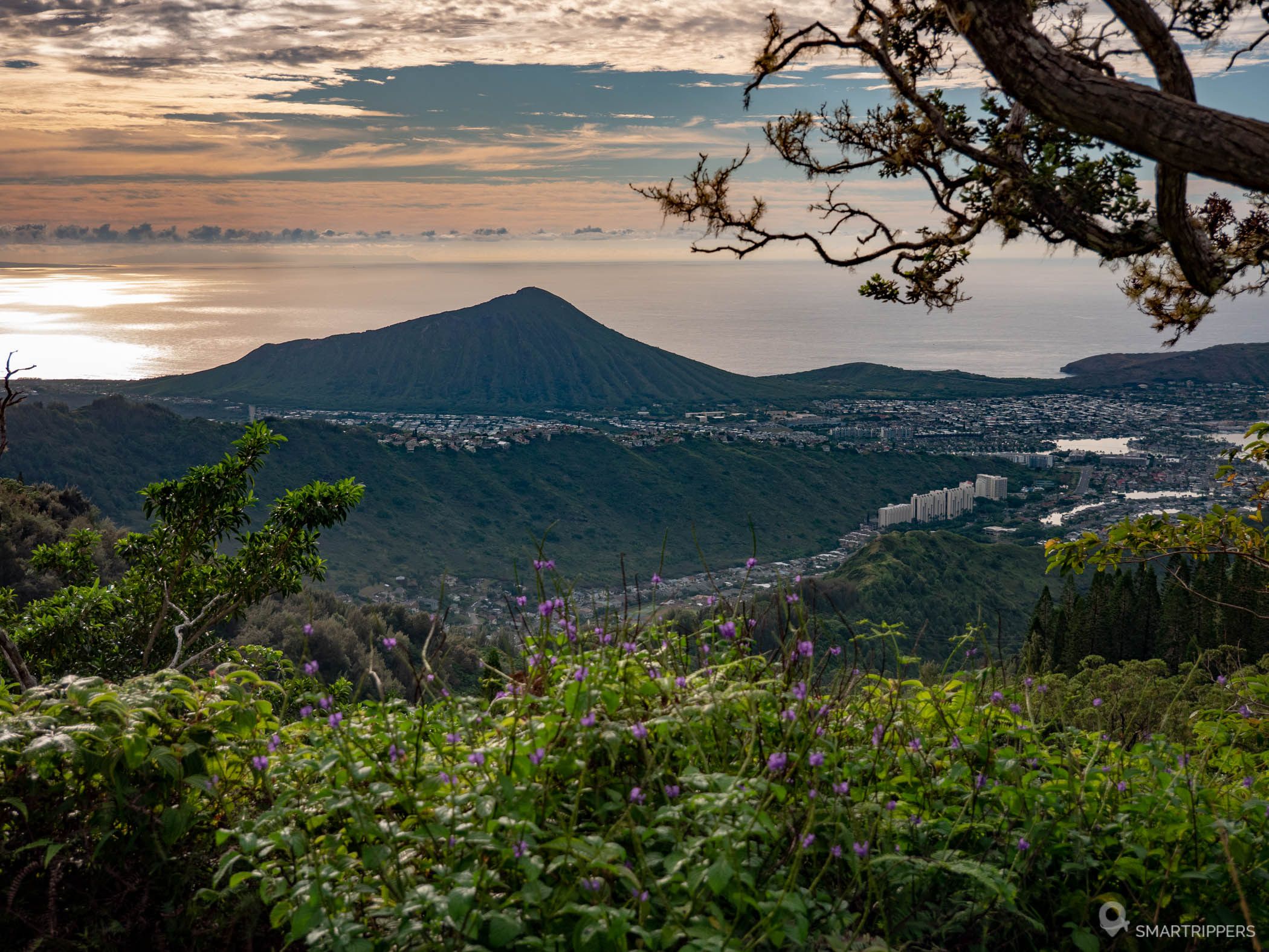 The Kuli'ou'ou Ridge Trail: Hiking On The Oahu Ridges - Smartrippers