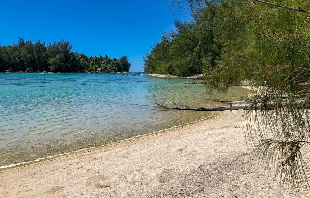 faire le tour de moorea en voiture