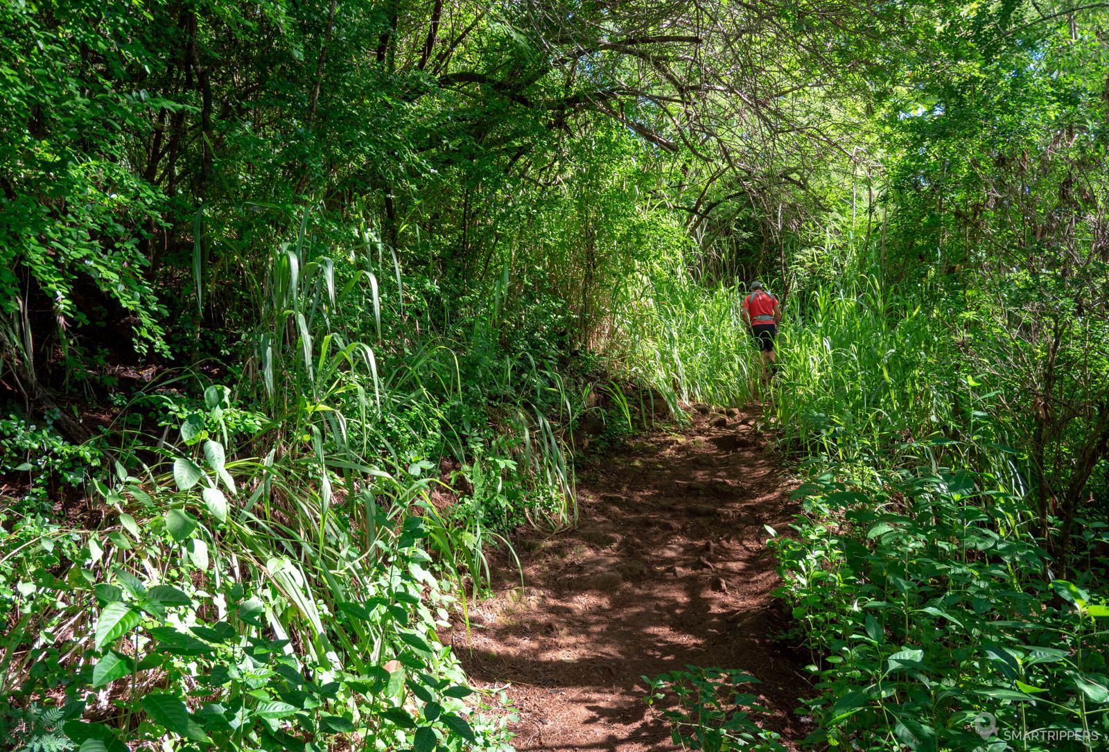 nounou-east-trail-the-sleeping-giant-hike-smartrippers