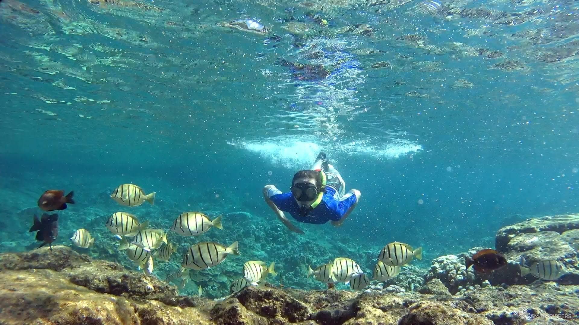 Plongée sous-marine et Snorkeling : les meilleurs spots dans le monde